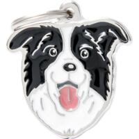 Tegn, Border Collie