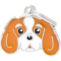 Tegn, Cavalier King Charles Spaniel (Orange)