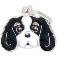 Tegn, Cavalier King Charles Spaniel (Sort)