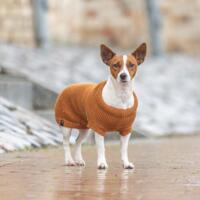 CityStyle Berlin pullover - Rust